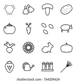 Thin line icon set : hex molecule, flippers, mushroom, potato, tomato, carrot, seeds, sheep, beet, flower, rabbit, pumpkin, strawberry, watering can, grain elevator, rake