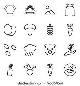Thin line icon set : hex molecule, flower bed, landscape, flour, eggs, mushroom, spikelets, carrot, seeds, rain cloud, pig, harvest, seedling, beet, ecology