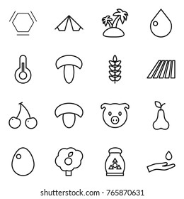 Thin line icon set : hex molecule, tent, island, drop, thermometer, mushroom, spikelets, field, cherry, pig, pear, egg, garden, fertilizer, hand and