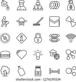 Thin Line Icon Set - hierarchy vector, money bag, rake, tree, heart, pills bottle, hospital bed, broken bone, mail, compass, lock, manager, wireless, estate insurance, cook, plates, dress code, idea