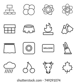 thin line icon set : hierarchy, atom core, market, stadium, flammable, flippers, curtain, ring button, welcome mat, knife holder, rain cloud, cherry, cow, maple leaf