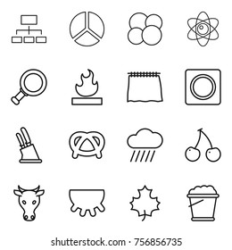 Thin line icon set : hierarchy, diagram, atom core, magnifier, flammable, curtain, ring button, knife holder, pretzel, rain cloud, cherry, cow, udder, maple leaf, foam bucket
