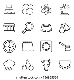 Thin line icon set : hierarchy, atom core, table lamp, market, magnifier, stadium, flippers, watch, curtain, ring button, turk, rain cloud, cherry, cow, udder