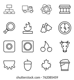 Thin line icon set : hierarchy, truck, atom, market, magnifier, flammable, flippers, watch, ring button, cherry, cow, udder, acorn, maple leaf, foam bucket