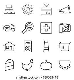 Thin line icon set : hierarchy, round around, tap to pay, loudspeaker, scooter shipping, cargo search, first aid, camera, home, speaker, stairs, measuring cup, cake, chicken, pumpkin, udder