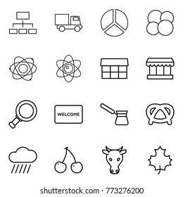 Thin line icon set : hierarchy, truck, diagram, atom core, market, magnifier, welcome mat, turk, pretzel, rain cloud, cherry, cow, maple leaf