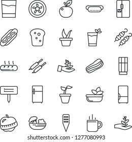 Thin Line Icon Set - hot cup vector, seedling, plant label, diet, fridge, drink, phyto bar, salad, bacon, bread, kebab, dog, apple fruit, fan, palm sproute
