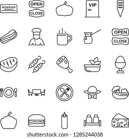 Thin Line Icon Set - hot cup vector, spoon and fork, plant label, pumpkin, cook, cafe, reserved, salad, bacon, egg stand, salt pepper, candle, table, vip zone, dress code, open close, steak, kebab