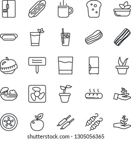 Thin Line Icon Set - hot cup vector, seedling, plant label, diet, fridge, drink, phyto bar, salad, bacon, bread, kebab, dog, apple fruit, fan, palm sproute