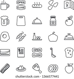 Thin Line Icon Set - hot cup vector, pumpkin, seeds, pills bottle, dish, alcohol, serviette, wine card, reception, beer, plates, bacon, bread, open close, credit, restaurant receipt, kebab, ham