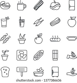 Thin Line Icon Set - hot cup vector, seedling, plant label, diet, fridge, drink, phyto bar, salad, bacon, bread, kebab, dog, apple fruit, fan, palm sproute