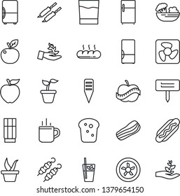 Thin Line Icon Set - hot cup vector, seedling, plant label, diet, fridge, drink, phyto bar, salad, bacon, bread, kebab, dog, apple fruit, fan, palm sproute