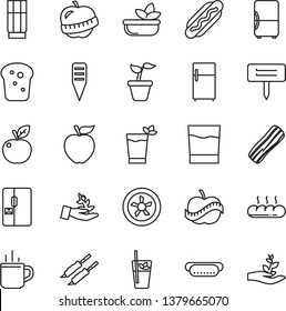 Thin Line Icon Set - hot cup vector, seedling, plant label, diet, fridge, drink, phyto bar, salad, bacon, bread, kebab, dog, apple fruit, fan, palm sproute