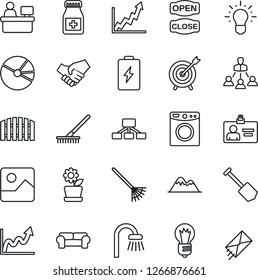 Thin Line Icon Set - identity card vector, manager place, bulb, job, rake, pills bottle, gallery, pie graph, hierarchy, mountains, fence, bathroom, cushioned furniture, flower in pot, open close