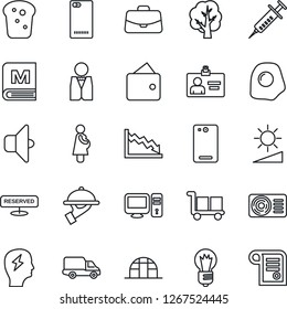 Thin Line Icon Set - identity card vector, case, brainstorm, bulb, tree, greenhouse, syringe, pregnancy, car delivery, cargo, phone back, brightness, air conditioner, waiter, menu, reserved, bread