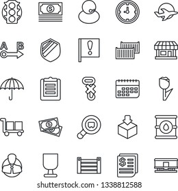 Thin Line Icon Set - important flag vector, store, plane, cash, traffic light, support, client, cargo container, clock, term, receipt, clipboard, fragile, umbrella, no hook, tulip, package, shield