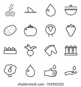 Thin line icon set : infinity power, shark flipper, drop, cauldron, potato, tomato, sheep, berry, seedling, beet, horse, grain elevator, garden, hand, and