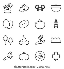 Thin line icon set : island, flippers, palm hammock, cauldron, eggs, potato, tomato, spikelets, trees, cherry, harvest, seedling, hand leaf, pumpkin, ecology, maple