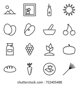 thin line icon set : landscape, flower in window, vegetable oil, gas oven, eggs, beans, mortar, cherry, flour, grape, sprouting, pumpkin, bread, carrot, ecology, rake