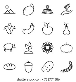 Thin line icon set : landscape, lemon, field, harvest, corn, eggplant, apple, pear, sheep, sprouting, flower, pumpkin, bread, acorn, potato, peas