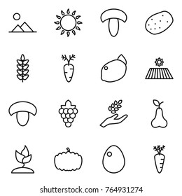Thin line icon set : landscape, gas oven, mushroom, potato, spikelets, carrot, lemon, field, grape, harvest, pear, sprouting, pumpkin, egg