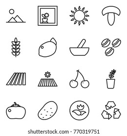 Thin line icon set : landscape, flower in window, gas oven, mushroom, spikelets, lemon, mortar, coffee seeds, field, cherry, seedling, tomato, potato, ecology, recycling