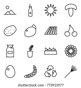 Thin line icon set : landscape, vegetable oil, gas oven, mushroom, potato, lemon, field, cherry, flour, seedling, flower, egg, peas, recycling, rake