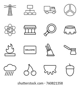 Thin line icon set : lighthouse, hierarchy, truck, diagram, atom, market, magnifier, stadium, flammable, welcome mat, knife holder, turk, rain cloud, cherry, udder, acorn