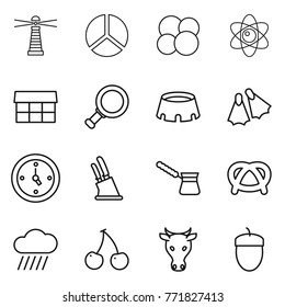 Thin line icon set : lighthouse, diagram, atom core, market, magnifier, stadium, flippers, watch, knife holder, turk, pretzel, rain cloud, cherry, cow, acorn