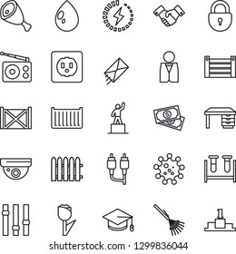 Thin Line Icon Set - lock vector, handshake, pedestal, graduate, desk, fence, rake, water drop, blood test vial, virus, cash, cargo container, tulip, radio, settings, rca, charge, waiter, ham, mail