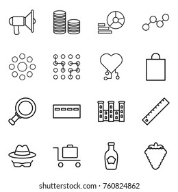 Thin line icon set : loudspeaker, coin stack, diagram, graph, round around, chip, cardio, shopping bag, magnifier, bunker, palace, ruler, confidential, baggage trolley, ketchup, berry
