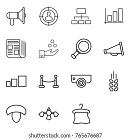 Thin line icon set : loudspeaker, target audience, hierarchy, graph, newspaper, chemical industry, magnifier, sorting, vip fence, surveillance camera, spikelets, mushroom, hard reach place cleaning