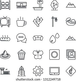 Thin Line Icon Set - luggage storage vector, airport building, coffee, butterfly, garden light, route, heavy scales, railroad, tv, dialog, settings, record, photo gallery, office, fruit tree, salad