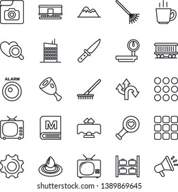 Thin Line Icon Set - luggage storage vector, rake, heart diagnostic, route, railroad, heavy scales, tv, menu, settings, photo gallery, mountains, city house, restaurant table, coffee, ham, knife