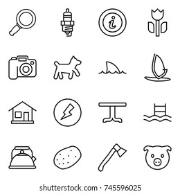 thin line icon set : magnifier, spark plug, info, perishable, camera, dog, shark flipper, windsurfing, home, electricity, table, pool, kettle, potato, axe, pig