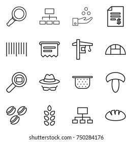 thin line icon set : magnifier, hierarchy, chemical industry, account balance, bar code, atm receipt, tower crane, greenhouse, cargo search, confidential, colander, mushroom, coffee seeds, spikelets