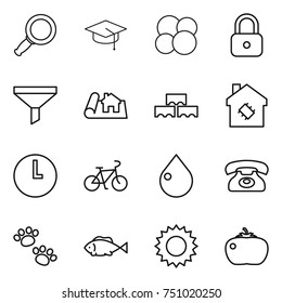 thin line icon set : magnifier, graduate hat, atom core, lock, funnel, project, block wall, smart house, clock, bike, drop, phone, pets, fish, sun, tomato