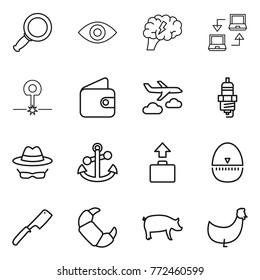 Thin line icon set : magnifier, eye, brain, notebook connect, laser, wallet, journey, spark plug, confidential, anchor, baggage, egg timer, chef knife, croissant, pig, chicken