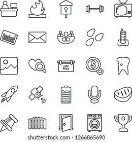 Thin Line Icon Set - mail vector, manager place, seeds, bird house, heart diagnostic, barbell, caries, office phone, flammable, barcode, satellite, microphone, paper pin, battery, gallery, company