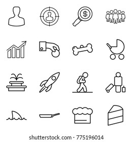 Thin line icon set : man, target audience, dollar magnifier, team, diagram, hand coin, bone, baby stroller, fountain, rocket, tourist, passenger, shark flipper, pan, chief hat, cake