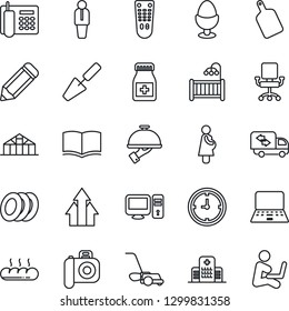 Thin Line Icon Set - manager vector, book, notebook pc, pencil, trowel, lawn mower, greenhouse, pills bottle, hospital, pregnancy, clock, camera, remote control, office phone, children room, moving