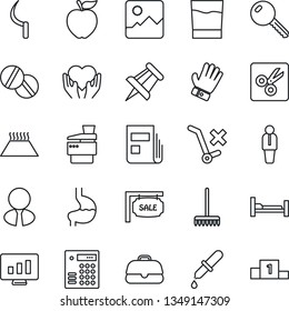 Thin Line Icon Set - manager vector, drawing pin, statistic monitor, rake, glove, sickle, dropper, pills, hospital bed, heart hand, stomach, no trolley, gallery, cut, news, copier, sale, key, drink