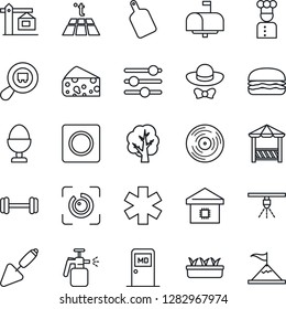 Thin Line Icon Set - medical room vector, trowel, tree, seedling, garden sprayer, ambulance star, barbell, search cargo, vinyl, tuning, record, eye id, smart home, crane, mailbox, cook, egg stand