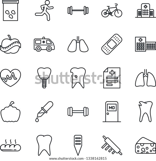 Thin Line Icon Set - medical room vector, plant\
label, pumpkin, seeds, heart pulse, diagnosis, dropper, patch,\
ambulance car, barbell, bike, run, lungs, tooth, caries, implant,\
diet, hospital, bread