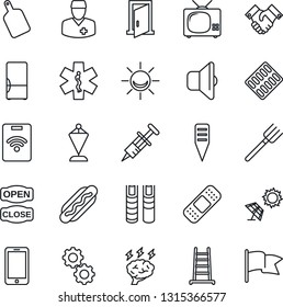 Thin Line Icon Set - mobile phone vector, pennant, brainstorm, farm fork, ladder, plant label, syringe, pills blister, patch, ambulance star, doctor, handshake, book, fridge, tv, open close, hot dog