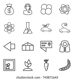 thin line icon set : money bag, call center, atom core, flask, eco car, electric, left arrow, greenhouse, location details, life vest, flower in window, sprouting, carrot, peas