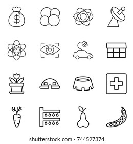 thin line icon set : money bag, atom core, satellite antenna, eye identity, electric car, market, flower, dome house, stadium, first aid, carrot, watering, pear, peas