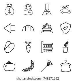 thin line icon set : money bag, call center, flask, eco car, left arrow, greenhouse, flower bed, protected, beans, carrot, watering, seedling, tomato, peas, rake, hanger