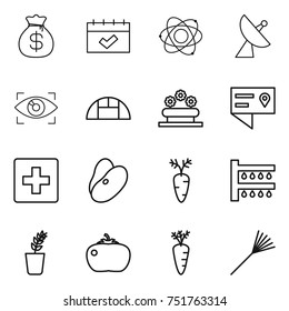 thin line icon set : money bag, calendar, atom, satellite antenna, eye identity, greenhouse, flower bed, location details, first aid, beans, carrot, watering, seedling, tomato, rake