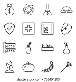 Thin line icon set : money bag, atom, flask, dome house, protected, first aid, flower in window, beans, watering, seedling, pear, sprouting, tomato, peas, rake